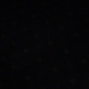 Meet your Posher, Teddy